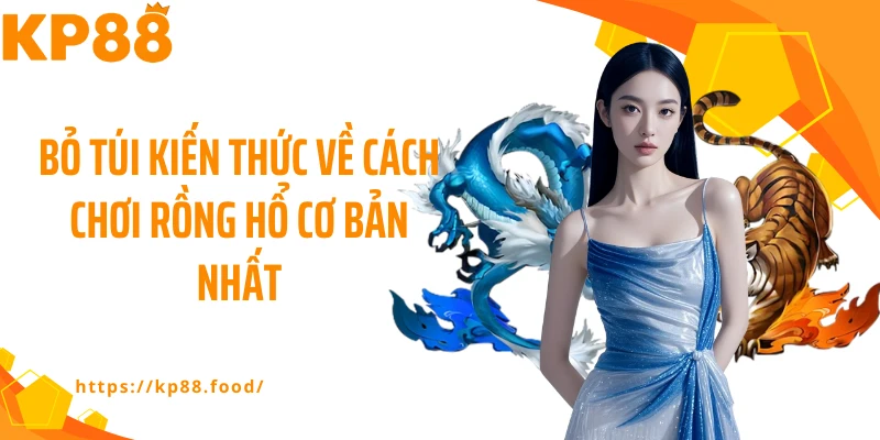 Bỏ túi kiến thức về cách chơi rồng hổ cơ bản nhất