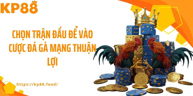 Chọn trận đấu để vào cược đá gà mạng thuận lợi