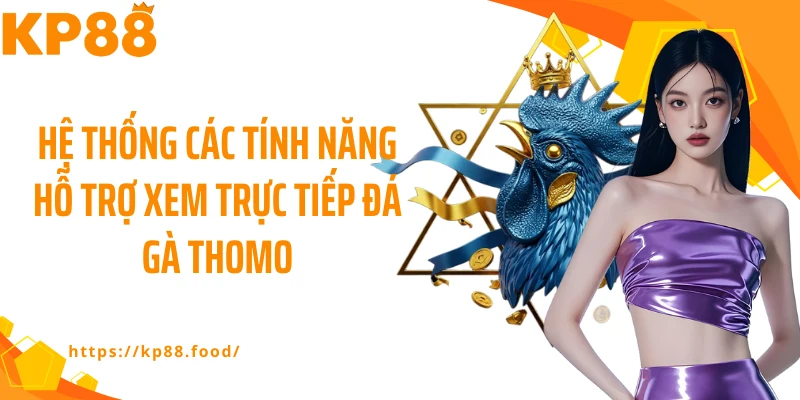 Hệ thống các tính năng hỗ trợ xem trực tiếp đá gà thomo