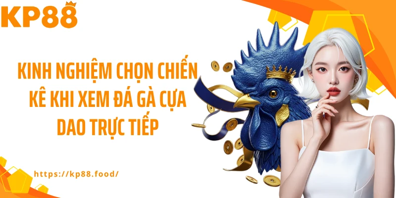 Kinh nghiệm chọn chiến kê khi xem đá gà cựa dao trực tiếp